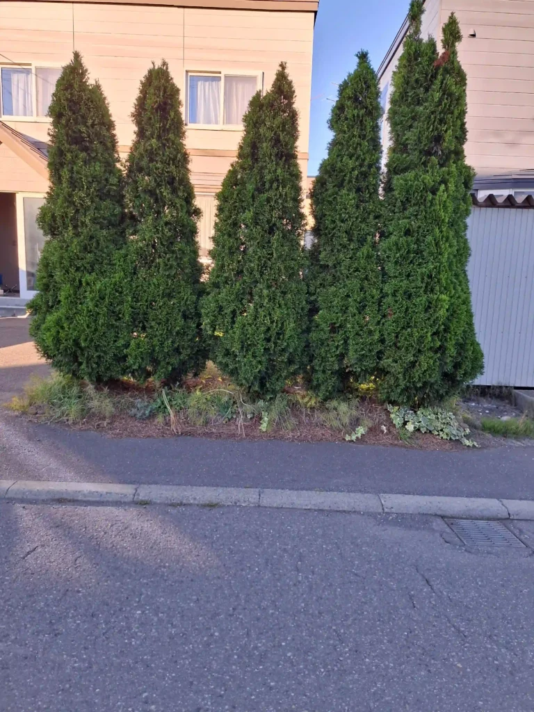 リフォーム前：樹木が多く残る敷地内でバイク保管スペースが確保できていない状態