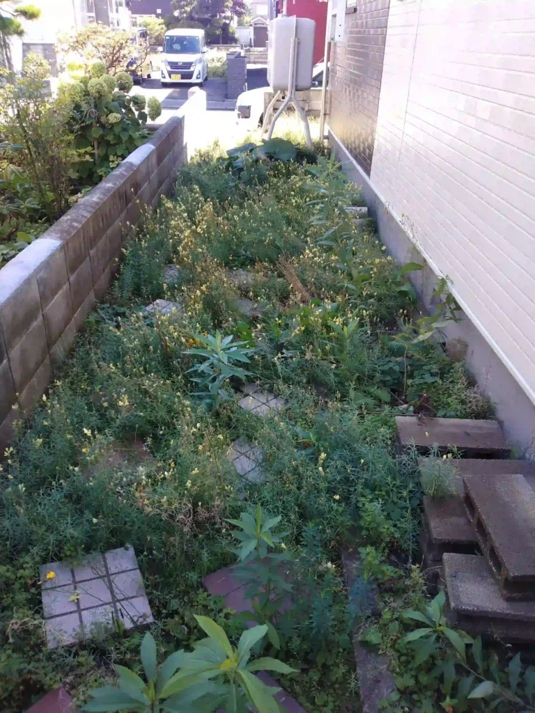 リフォーム前：手入れされていない庭の全体像
